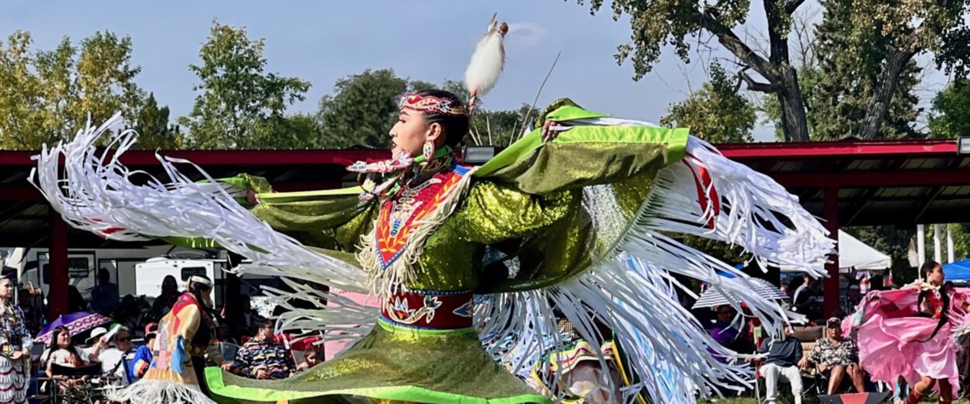 The Diversity of Attendees at Dance Festivals in Erie County, NY