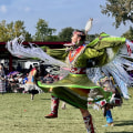 The Diversity of Attendees at Dance Festivals in Erie County, NY