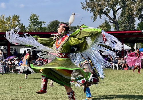 The Diversity of Attendees at Dance Festivals in Erie County, NY